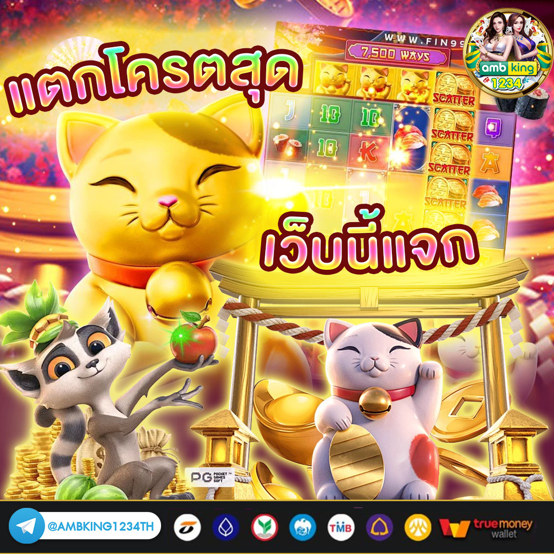 สบอต - แบนเนอร์โปรโมชั่น